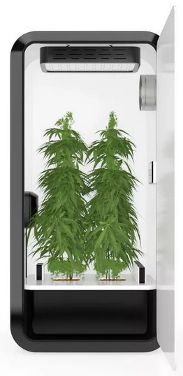 Leaf Home Grow System